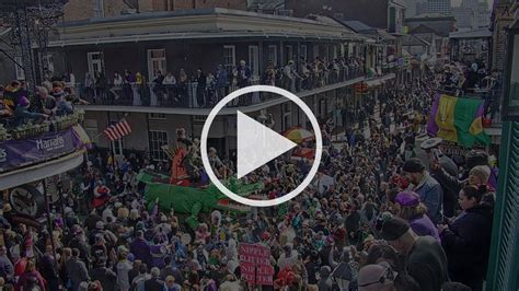 Mardi Gras Cams